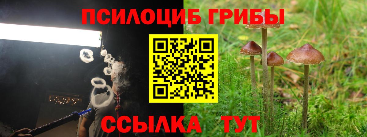 Псилоцибиновые грибы Psilocybine cubensis  Вход с VPN  Сафоново 